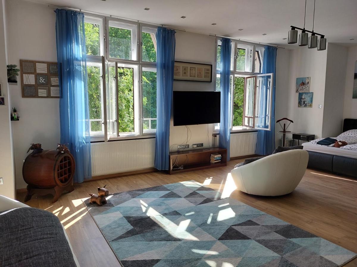 Sunny Studio At The Castle Budapešť Exteriér fotografie